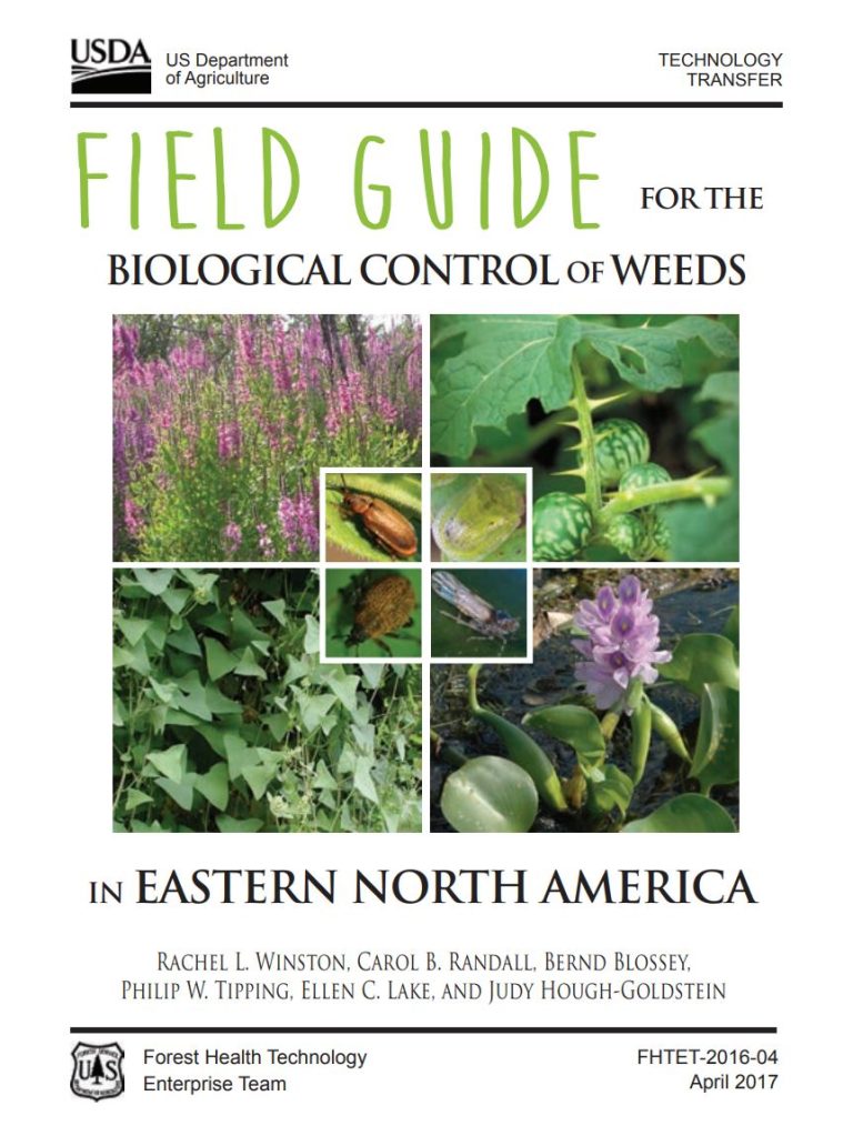 Cover image for the publication, "Field Guide for the Biological Control of Weeds in Eastern North America"